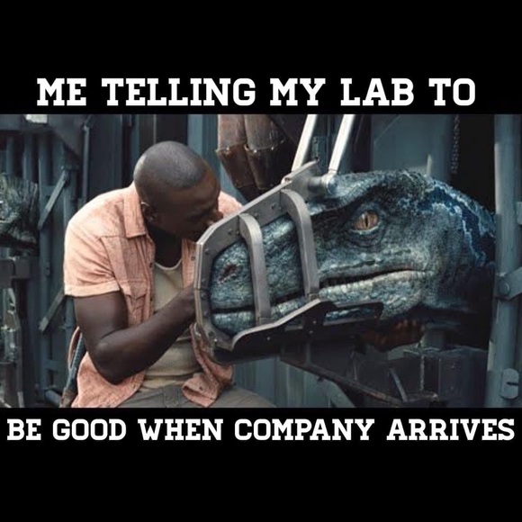 Meet your Posher, Jennifer - Picture 11 of 16